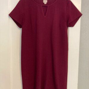 Maroon V neck slip dress (Size L)